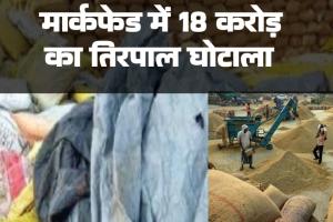 मार्कफेड में 18 करोड़ का तिरपाल घोटाला 18500 का टेंडर पर गुपचुप खरीद लिए 33 हजार नग