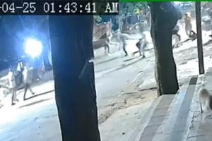 बिलासपुर में आधी रात हमला: 20 नकाबपोशों ने घर घेरकर बरसाए डंडे, मामूली विवाद ने लिया खौफनाक रूप