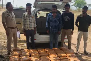 बिलासपुर में कार से 245 किलो गांजा जब्त, 1.22 करोड़ की खेप पकड़ी, ओडिशा से एमपी सप्लाई का नेटवर्क बेनकाब 