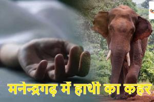 CG News: मनेन्द्रगढ़ में हाथी का कहर, महुआ बीनने गए ग्रामीण की मौत, वन विभाग की कार्यप्रणाली पर उठे सवाल