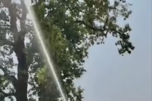 तोते के लिए ‘वॉटर ऑपरेशन’: Narayanpur में फायर ब्रिगेड ने बहाया हजारों लीटर पानी, वायरल VIDEO के बाद संसाधनों के दुरुपयोग पर उठे सवाल