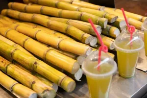 Sugarcane Juice : किन लोगों को नहीं पीना चाहिए गन्ने का जूस? डॉक्टर से जानें