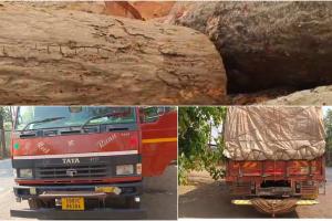 क्या कोंडागांव में तस्करों को संरक्षण? प्रतिबंधित लकड़ी से लदी गाड़ियों को बिना सत्यापन छोड़ा, SDO के आदेश पर बवाल