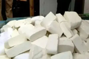 Fake Paneer Racket Exposed: केमिकल से तैयार हो रहा नकली पनीर, ढाबों से फाइव स्टार होटलों तक सप्लाई, स्वास्थ्य विभाग अलर्ट