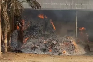 बीजापुर के बाद अब बस्तर में तेंदूपत्ता गोदाम में आग, 1000 बोरे राख, बीजापुर आगकांड के बाद DFO पर गिरी गाज