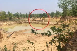 रायगढ़ में दर्दनाक हादसा: तालाब में नहाते समय बड़े हाथी के नीचे दबकर शावक की मौत, 5 महीने में 8वीं मौत से बढ़ी चिंता