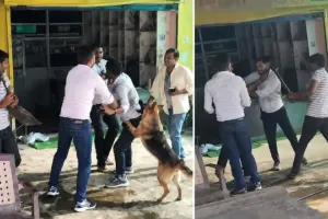 लखनऊ में बिजली चोरी पकड़ने गई टीम पर हमला, JE को पीटा, पालतू कुत्तों से भी कराया हमला