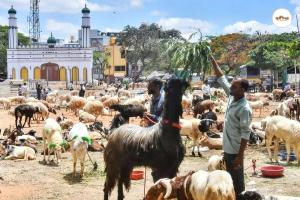 Eid-Ul-Adha 2026: केरल सरकार का बड़ा ऐलान, बकरीद पर लगातार दो दिन की छुट्टी; बंगाल ने भी बदली अवकाश तारीख