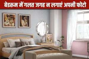 Vastu Tips for Couple Photos: बेडरूम और घर में कपल को कहां-कहां नहीं लगानी चाहिए अपनी तस्वीर, बिगड़ सकते हैं रिश्ते