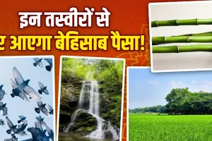 Vastu Tips For Wealth: 7 घोड़ों के अलावा ये तस्वीरें भी हैं मनी मैग्नेट, घर में लगाते ही खिंचा चला आएगा पैसा!