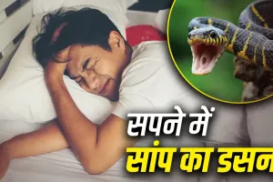 Swapna Shastra: सपने में सांप का डसना देता है ये बड़ा संकेत, जानें शुभ है या अशुभ