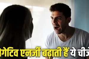 Vastu Tips For Home: घर में रहता है तनाव या बात-बात पर होता है झगड़ा? आज ही हटा दें ये चीजें!