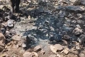 सराफा कारोबारी हत्याकांड में जंगल बना राज़ का गवाह! जला बैग और बिखरे सबूतों ने खोले कई सवाल
