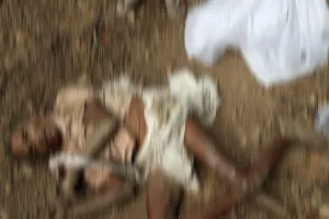बलरामपुर में दंतैल हाथी का कहर! सुबह शौच के लिए निकले पति-पत्नी को कुचलकर मार डाला, गांव में दहशत