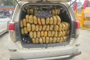 ऑपरेशन आघात का बड़ा वार! ओडिशा से मध्यप्रदेश जा रही 300 किलो गांजा की खेप पकड़ी, 3 अंतरराज्यीय तस्कर गिरफ्तार