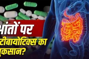 क्या ज्यादा Antibiotics लेने से खराब हो सकती है Gut Health? जानें आंतों पर इसका असर और बचाव के तरीके