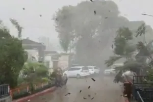 धमतरी में सरकारी जमीन पर रिसॉर्ट निर्माण का मामला गरमाया, शिकायत के बाद प्रशासन ने लगाई रोक