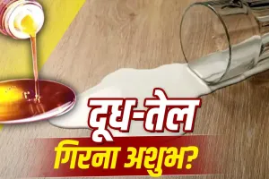 घर में बार-बार दूध या तेल गिरना क्या देता है शुभ-अशुभ संकेत? जानें ज्योतिष और वास्तु का रहस्य 