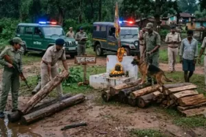 पुष्पा स्टाइल में सागौन तस्करी का खेल! तालाब, नदी और पूजा स्थल में छिपाई लकड़ी, स्निफर डॉग ने खोला राज
