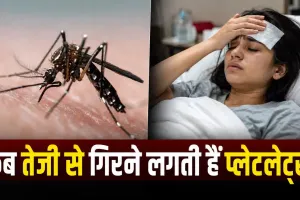 डेंगू में प्लेटलेट्स कब घटने लगती हैं? जानिए कब बढ़ता है खतरा और किन लक्षणों को न करें नजरअंदाज