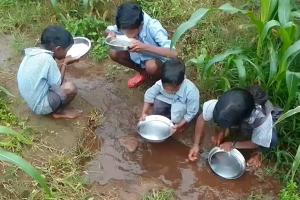 CG News: विकास के दावों के बीच मासूमों की प्यास का दर्द! स्कूल का हैंडपंप खराब, खेत-नाले का पानी पी रहे बच्चे