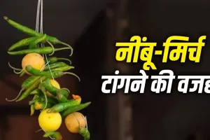 Lemon and Chillies: घर, दुकान और गाड़ी पर क्यों टांगते हैं नींबू-मिर्च? बुरी नजर या सिर्फ परंपरा, जानिए पूरा सच