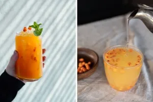 Sea Buckthorn Nutrition: पोषक तत्वों का पावरहाउस है सी बकथॉर्न, जानें इसमें कितने विटामिन-मिनरल और कैसे करें सेवन
