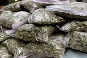 Raipur Crime News: पुलिस की सख्ती से बदला गांजा तस्करी का तरीका, अब घर तक डिलीवरी और कोड वर्ड का खेल!