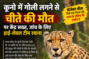 कूनो नेशनल पार्क में चीते की मौत से मचा हड़कंप, केंद्र ने शुरू कराई उच्चस्तरीय जांच
