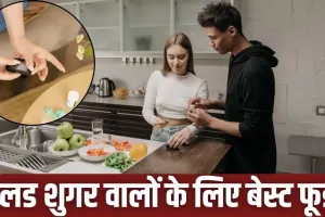 ब्लड शुगर हाई रहता है तो डाइट में शामिल करें ये फूड्स! एक्सपर्ट ने बताए हेल्दी ड्रिंक्स, प्रोटीन और गुड फैट्स के विकल्प