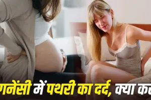 Pregnancy Kidney Stone: प्रेगनेंसी में हो जाए किडनी स्टोन तो कितना खतरनाक? जानें कब पड़ सकती है इलाज की जरूरत