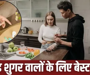 ब्लड शुगर हाई रहता है तो डाइट में शामिल करें ये फूड्स! एक्सपर्ट ने बताए हेल्दी ड्रिंक्स, प्रोटीन और गुड फैट्स के विकल्प
